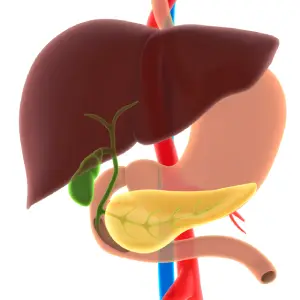 Hepatobiliary